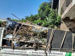 Best Recycling Services for Junk  in Assumption, IL