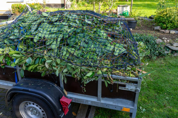 Best Residential Junk Removal  in Assumption, IL